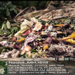 Collection of Solid Food Waste for Decomposing